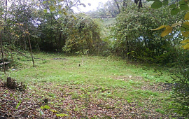 Небольшой уютный участок